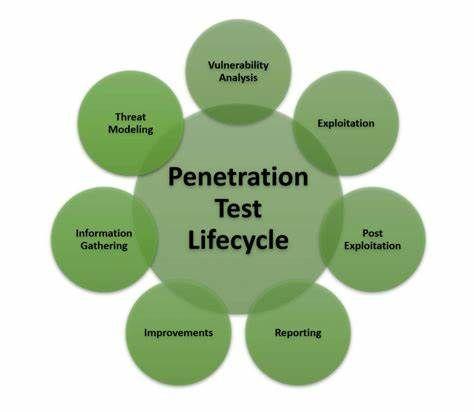 Penetration testing process