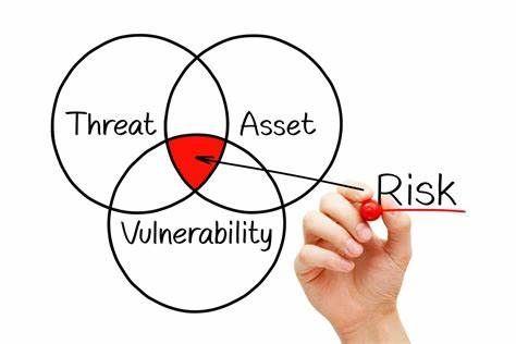 security assessment purpose